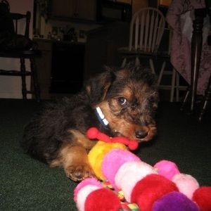 Meet your Posher, Brittany